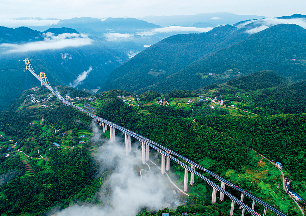 跨長江大橋的招標咨詢